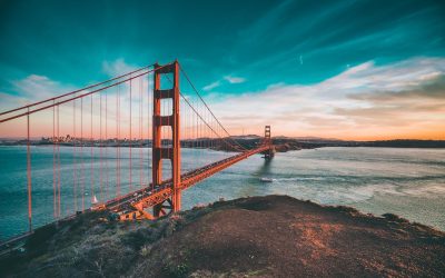 Local SEO for Multi‑Location Medical Practices: What Changes and What Doesn’t
